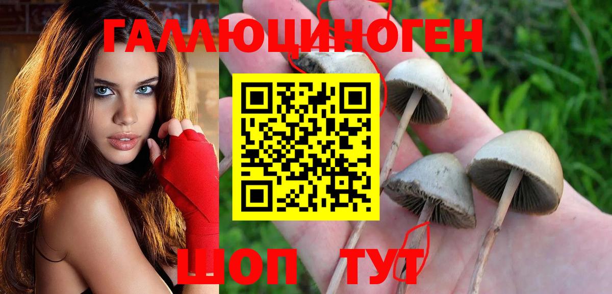 Галлюциногенные грибы мицелий  Псилоцибиновые грибы Psilocybe  Вход с VPN  Каменск-Шахтинский 